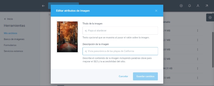 Ventana Editar atributos de imagen con los campos Título y Descripción