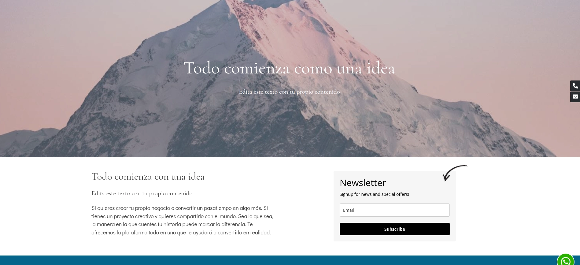 Formulario de Mailer Lite visible en la previsualización de la web