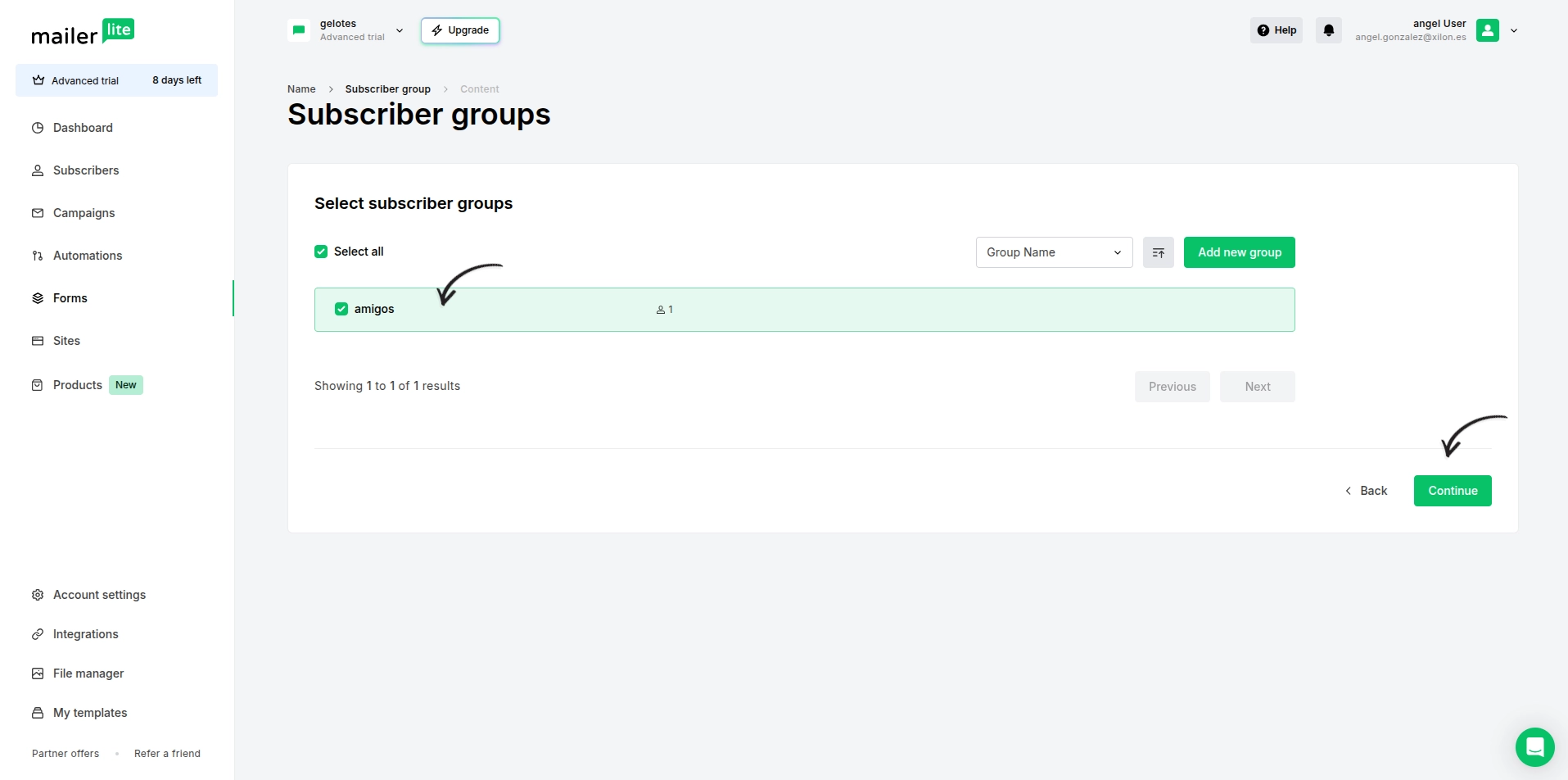 Selección de grupos de suscriptores en Mailer Lite