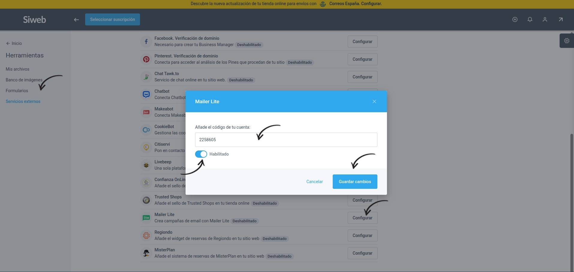 Ventana de configuración de Mailer Lite en Servicios externos